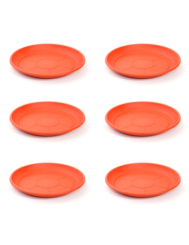 Pack de 6 platos de...