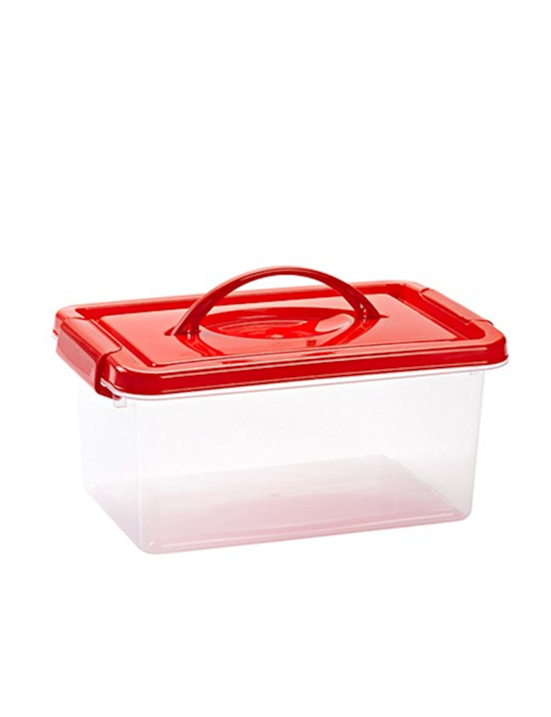 Plastic Forte - Caja de plástico con tapa de color surtido y asa, de 29 x 18,5 x 13 cm, 4 Baúl con tapa para organiza