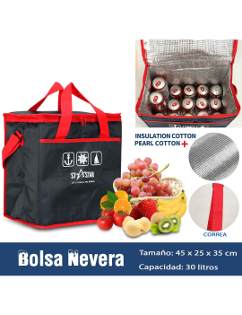 Bolsa Nevera 15L para Llevar Comida y Bebida Bolsa termica Porta Alimentos  Nevera portatil con acumuladores de Frio Nevera Playa Bolsa para Comida