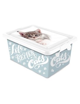 Caja de almacenamiento...