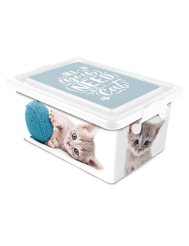 Caja de almacenamiento –...