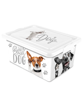 Caja de almacenamiento –...