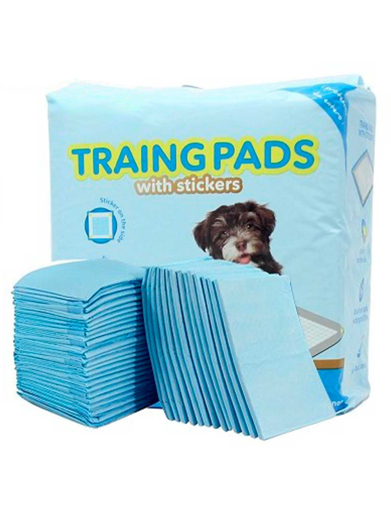 Empapadores Absorbentes de entrenamiento perro 60x90 (50 ud) Record -  XICANIN - Tiendas online para mascotas. Productos para mascotas